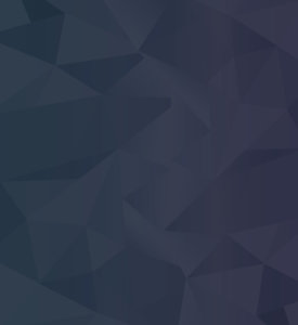 2 16 275x300 - 2 (Demo)